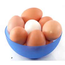 무항생제 계란