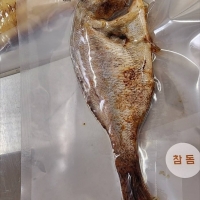 참돔(국내산)