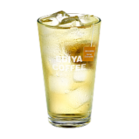 ICED 스프링캐모마일