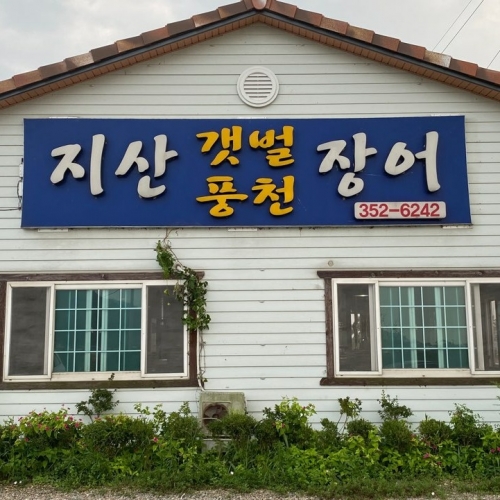 지산갯벌장어