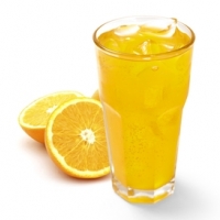 환타 오렌지 355ml