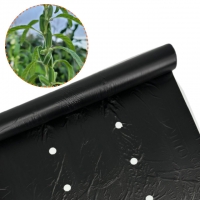 NEW 국산 고급형 2구 참깨 흑색 비닐 0.02 X 폭 90 X 길이 200