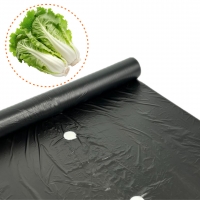 NEW 국산 고급형 1구 배추 흑색 비닐 0.02 X 폭 90 X 길이 200