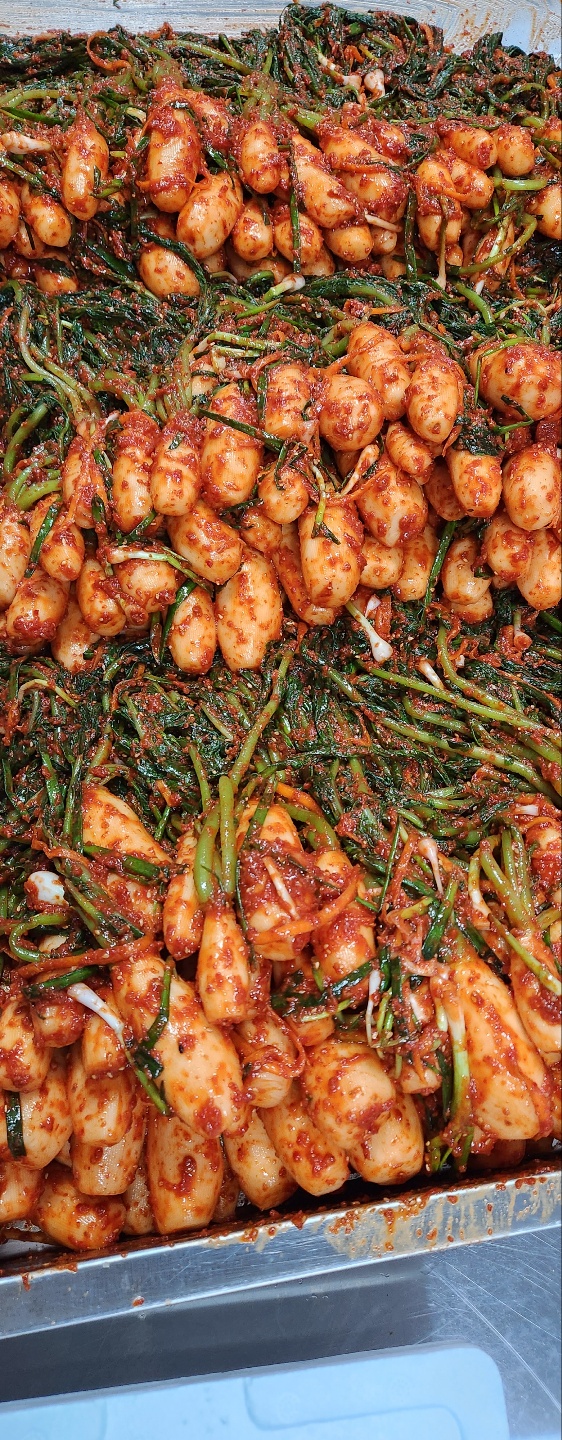 김치스토리